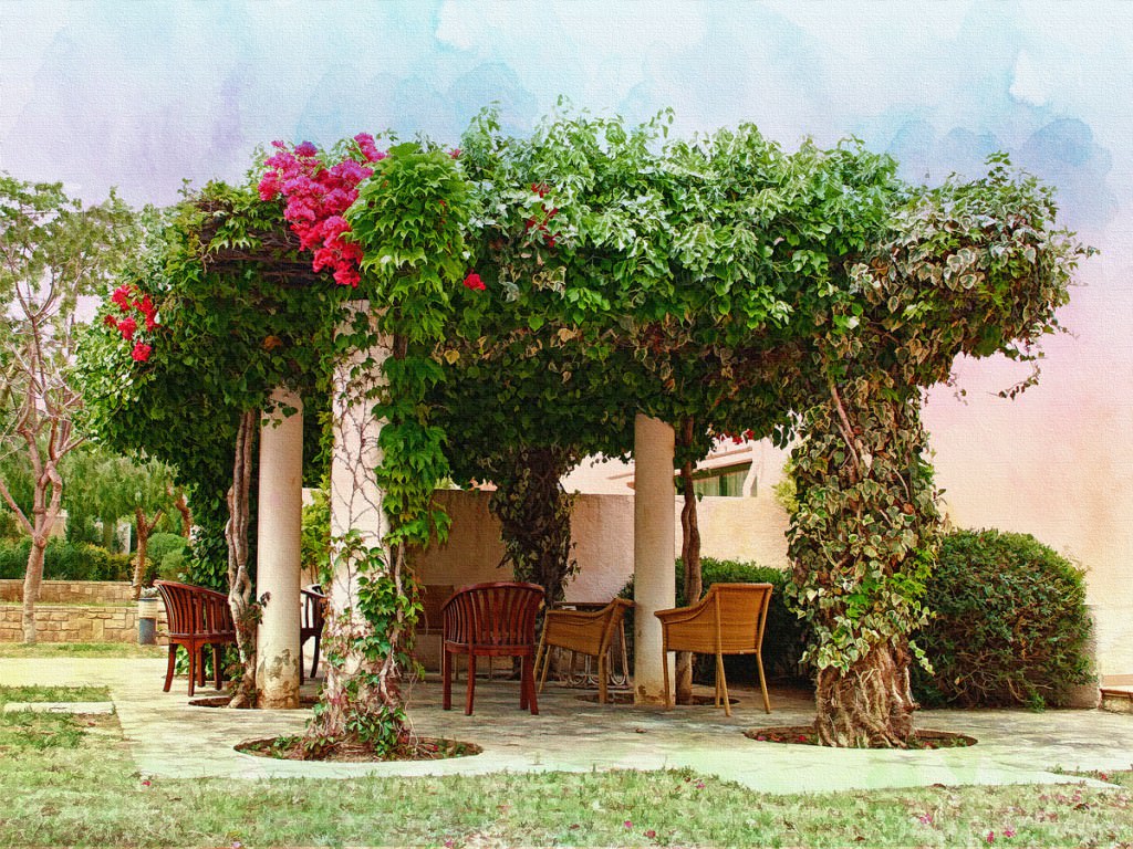 pergola2jpg